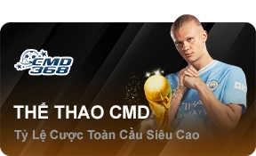 cmd368-23win-design