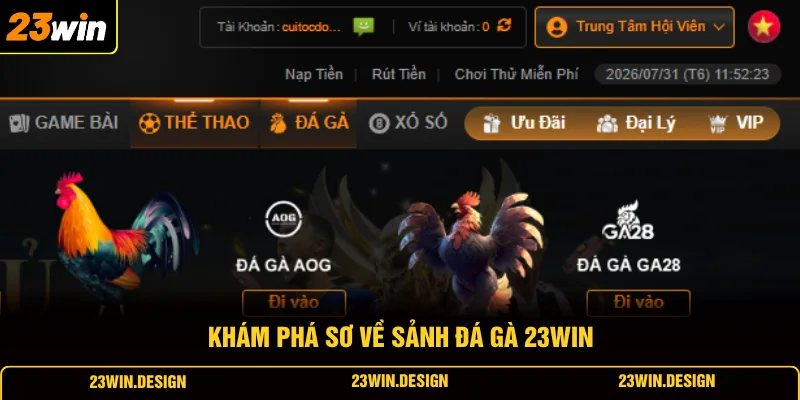 Đá Gà 23WIN 1 Khám phá sơ về sảnh đá gà 23WIN