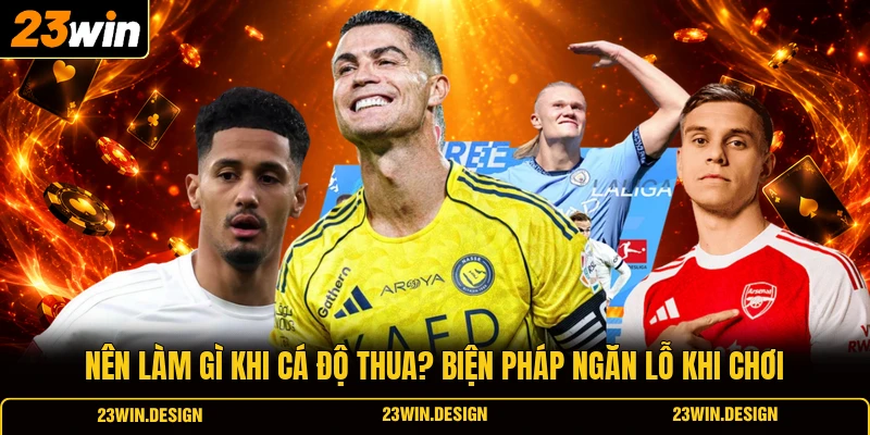 Nên Làm Gì Khi Cá Độ Thua? Biện Pháp Ngăn Lỗ Khi Chơi