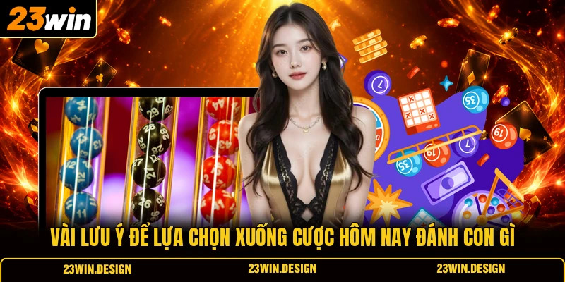 Hôm Nay Đánh Con Gì Bí Quyết Soi Cầu Hiệu Quả Nhất 3 Vài lưu ý để lựa chọn xuống cược hôm nay đánh con gì